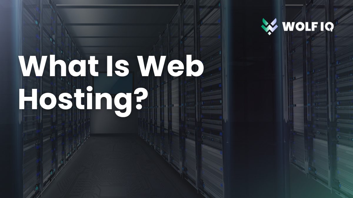 What Is Web Hosting? A Beginner’s Guide for Aussie Business Owners