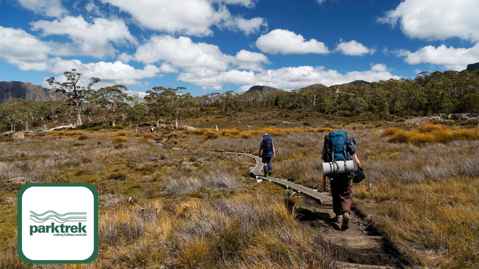 Web Design Case Study for Park Trek Walking Holidays - Wolf IQ