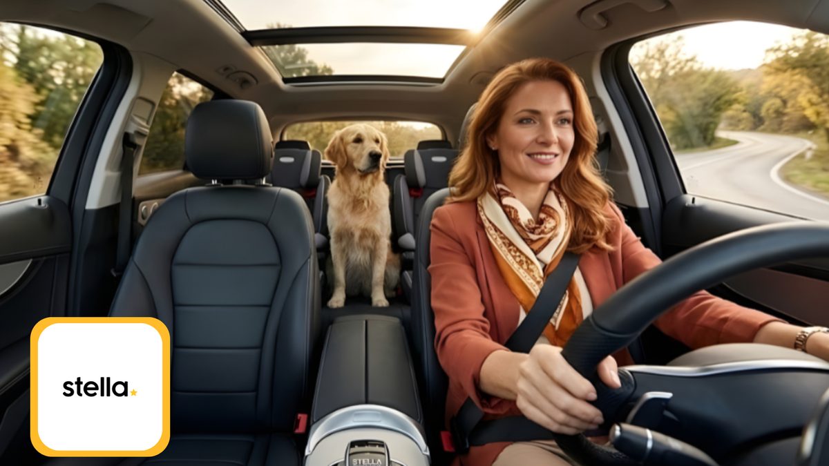 Stella Insurance website