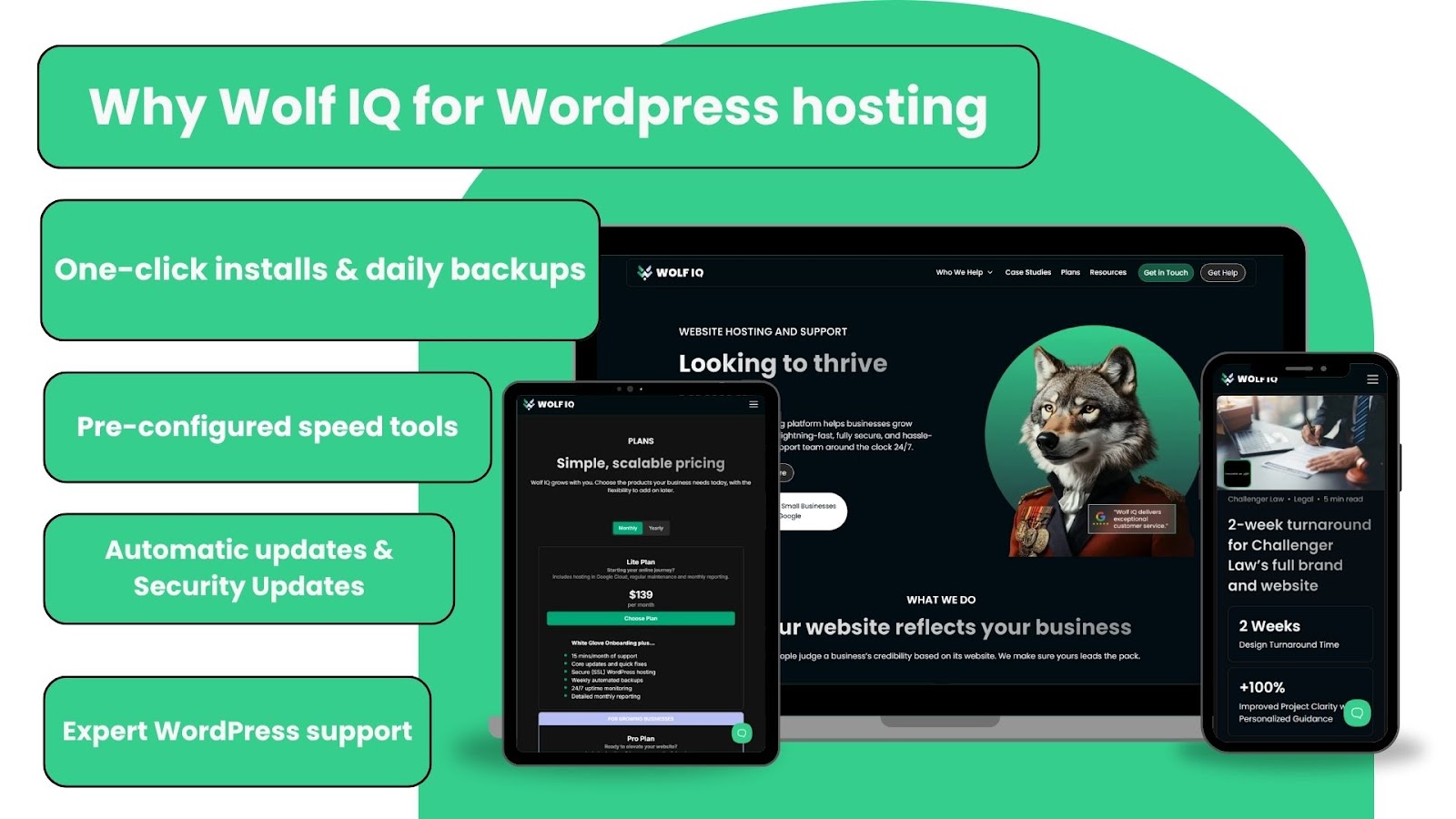 Wolf IQ's WordPress hosting features installs, backups, speed tools, and support - Wolf IQ