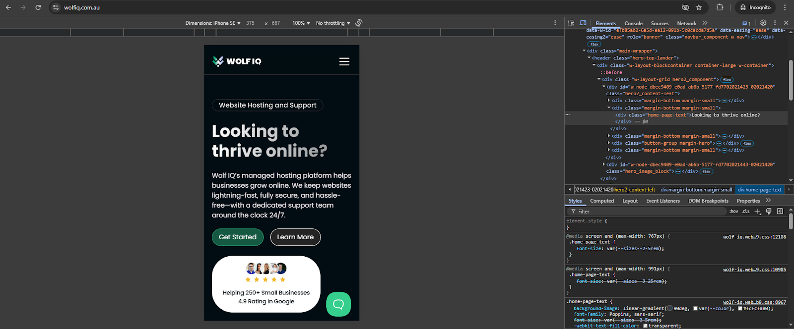 Mobile preview of Wolf IQ landing page using Chrome DevTools showing responsive web design in action – Wolf IQ