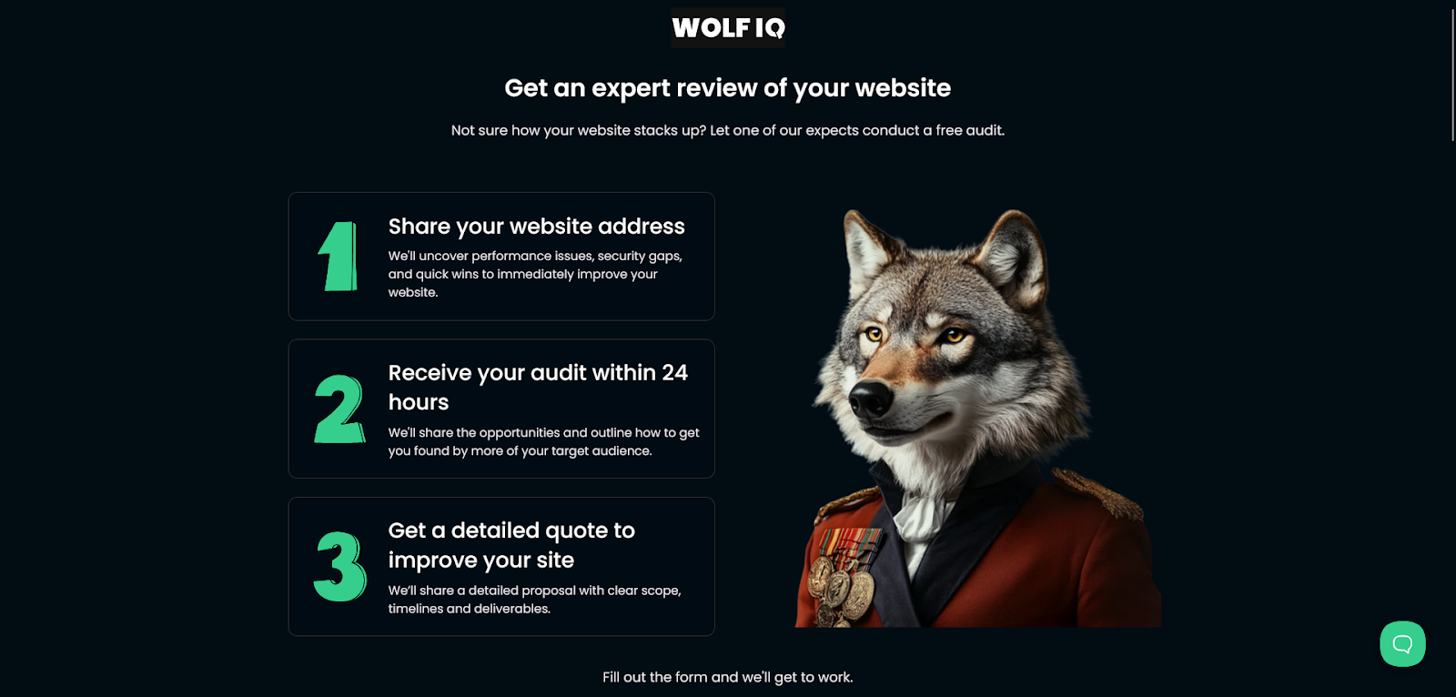 Wolf IQ landing page with consistent branding, audit steps, and wolf mascot to build trust and identity – Wolf IQ