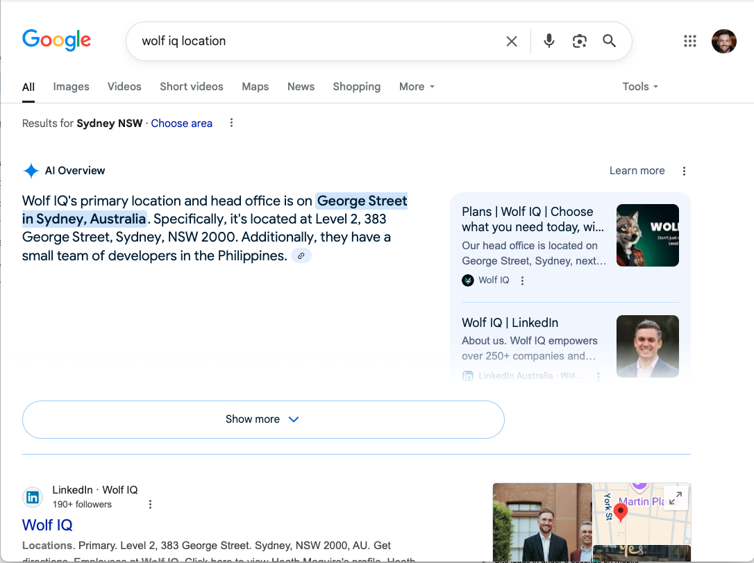 oogle AI Overview shows Wolf IQ’s location, contact info, and links—no website visit required.