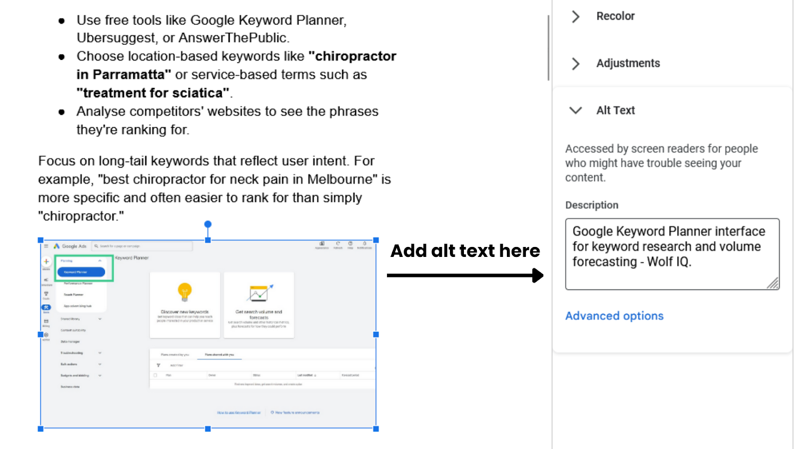 Adding alt text to make your website more optimise for SEO - Wolf IQ