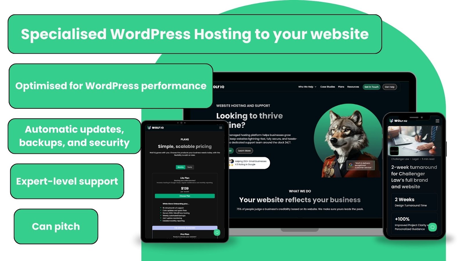 Visual explainer showing benefits of specialised WordPress hosting with performance, support, and security tools - Wolf IQ