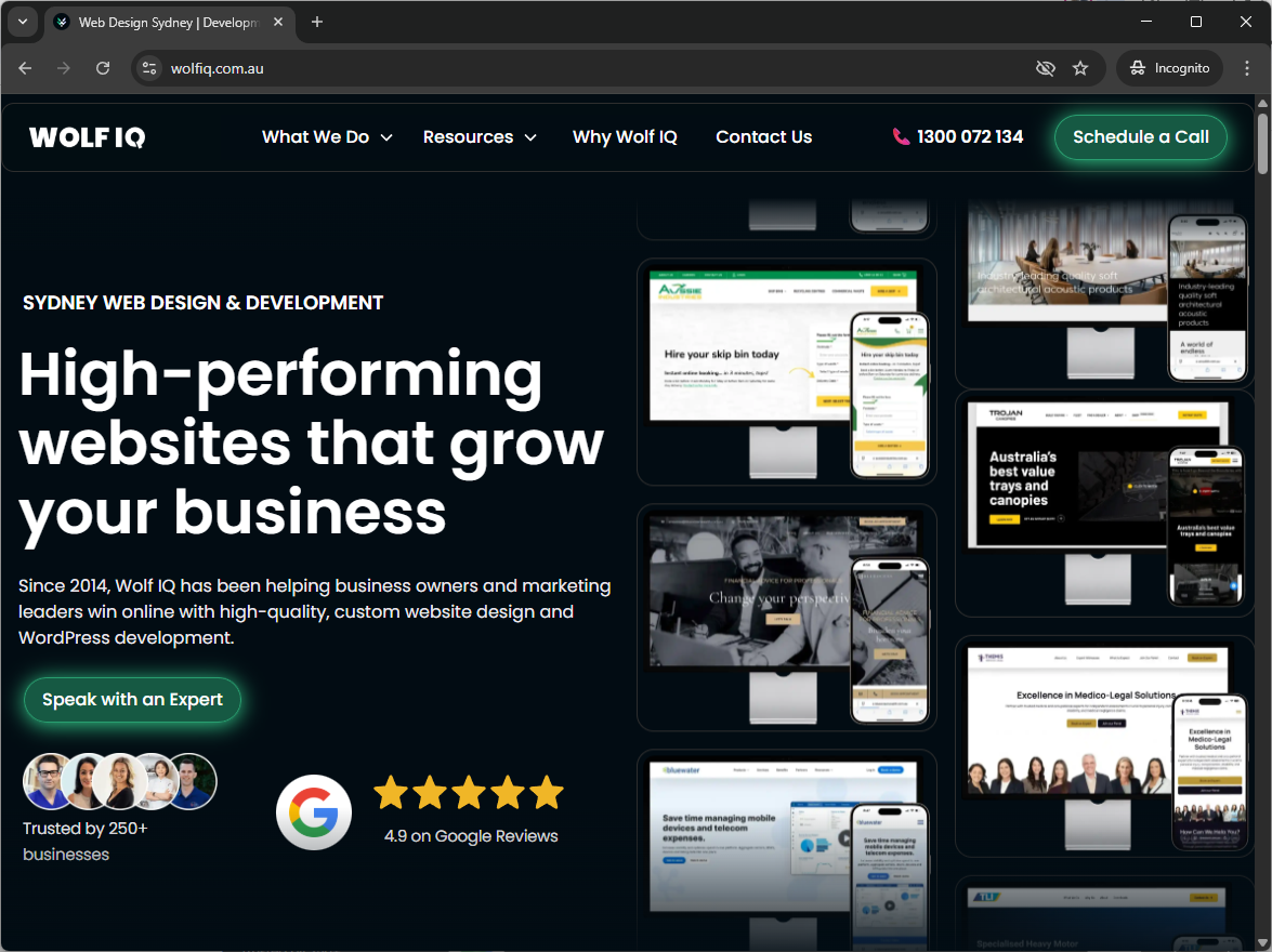 Wolf IQ Sydney web design and development agency