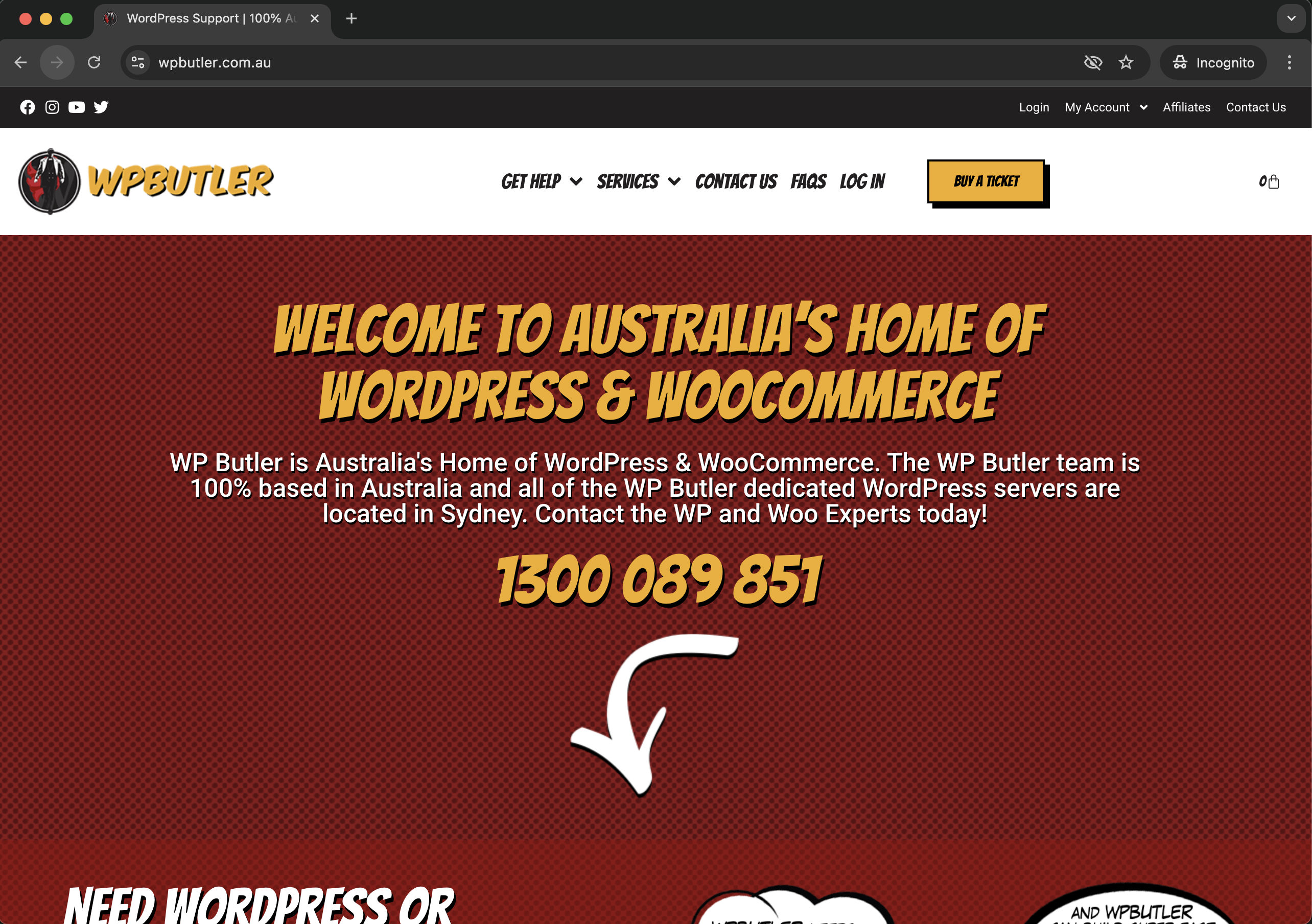 WP Butler website screenshot