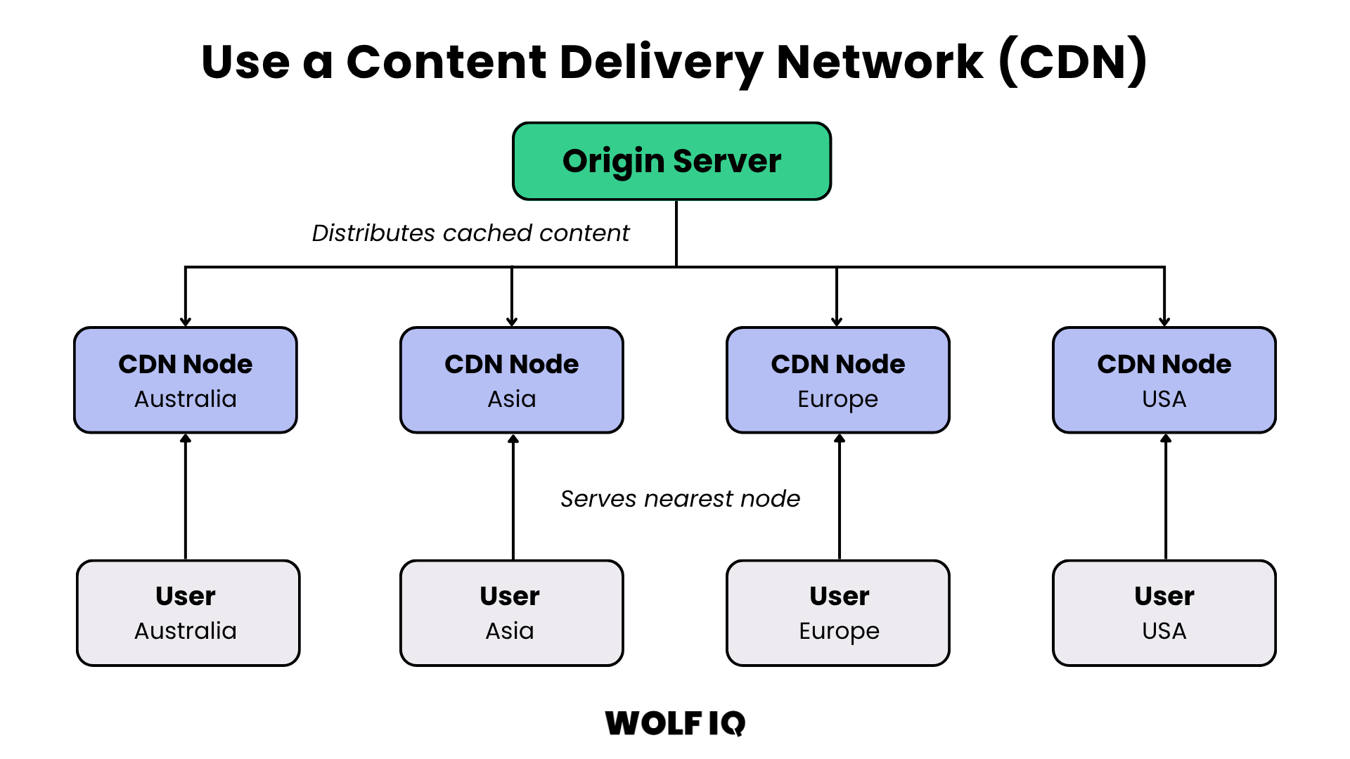 Content Delivery Network distributes website assets globally